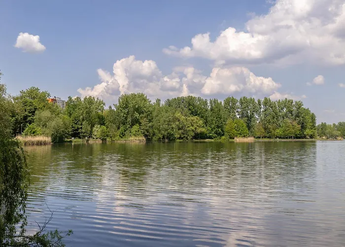 Bezowy Przy Parku W Katowicach Z Widokiem Na Staw I Biurkiem By Renters Катовице
