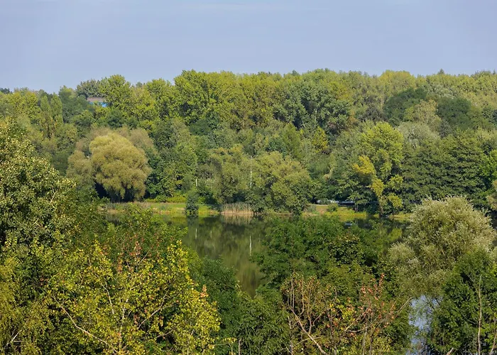 Bezowy Przy Parku W Katowicach Z Widokiem Na Staw I Biurkiem By Renters Апартаменты